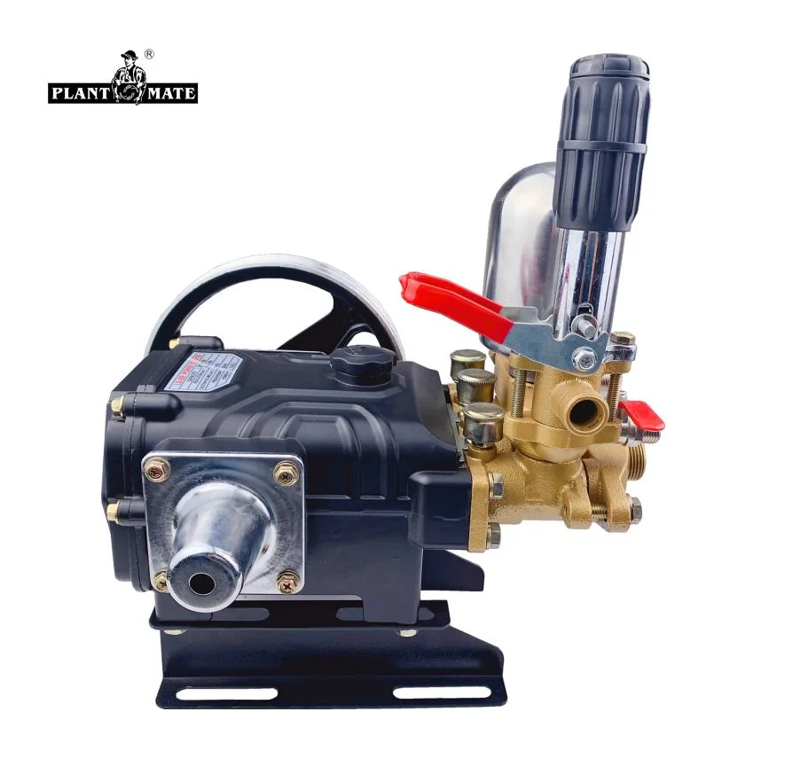 Agriculture High Pressure Three Cylinder 3 Piston Triplex Plunger Water Pump