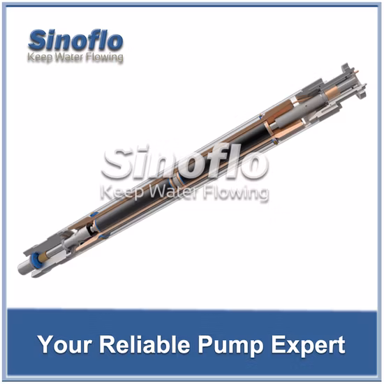 API 338/400/513/675/875 Pompe submersible électrique/pompe ESP pour puits de pétrole